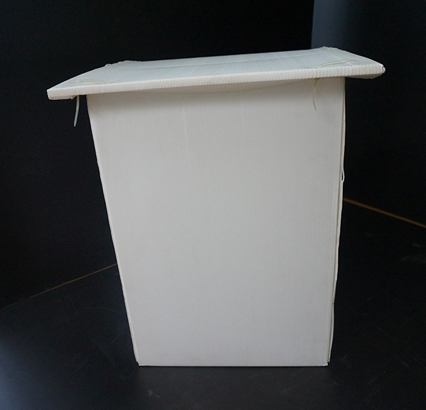 Sealed ballot box